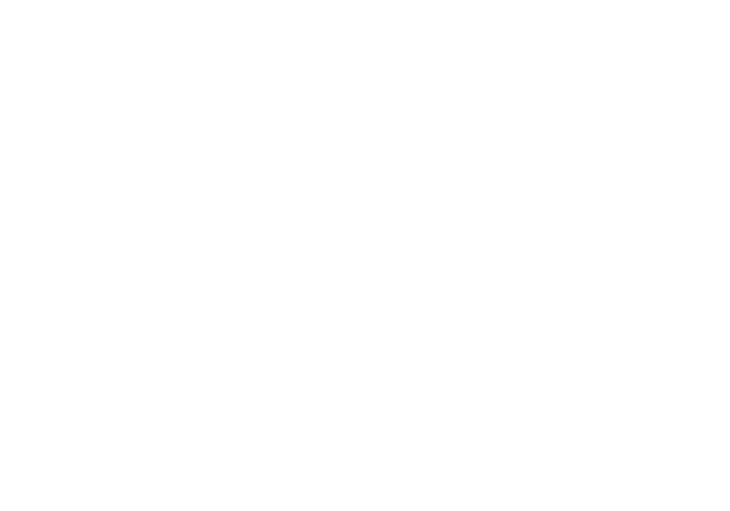 Grupo Cobrafix